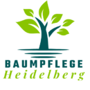 Baumpflege Heidelberg