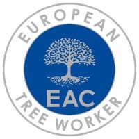 European tree worker in Heidelberg